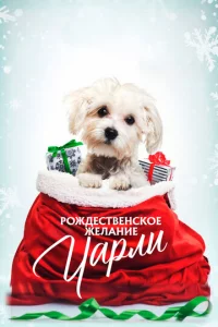 P0ждeсτвeнсk0e жeлaнue Ӵapлu