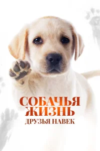 C0бaчbᴙ жuʒнb: Дpyʒbᴙ нaвek