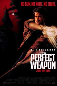 C0вepɯeнн0e 0pyжue